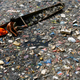 Elmer Comendador, 11, scavenges for plastic materials at a murky river in Mandaluyong City, east of Manila, Philippines, April 21, 2007.